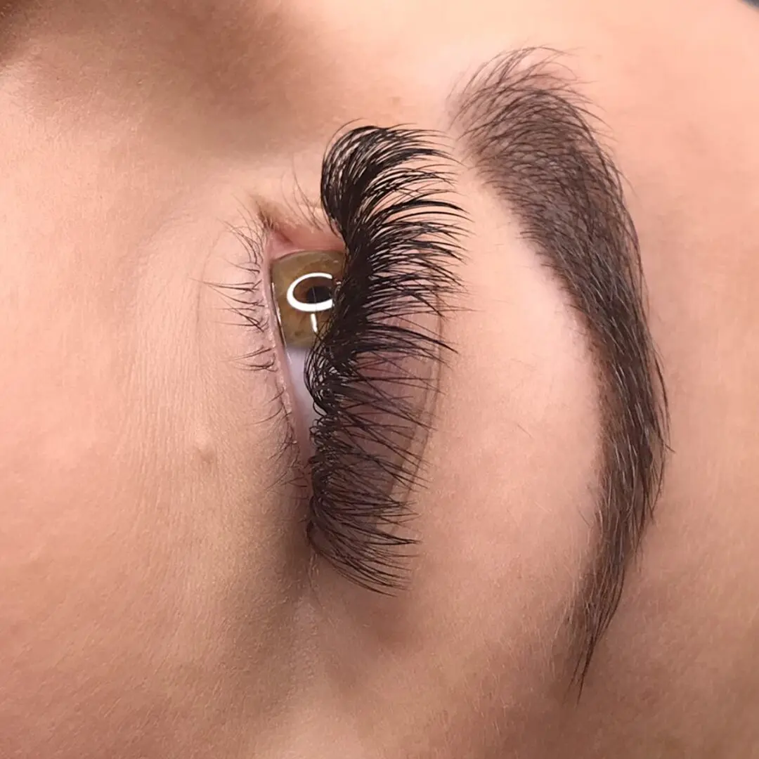 A close up of the eye area with long lashes